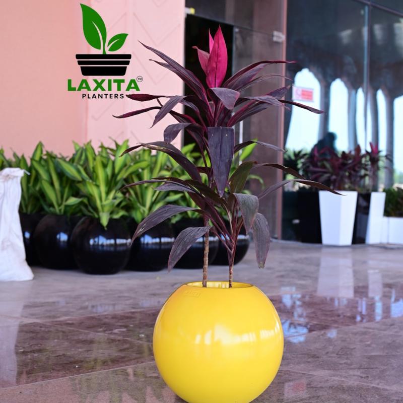 Laxita Planters - FRP Planters Manufacturer