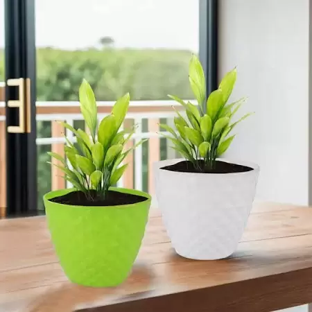 Beautify Every Corner